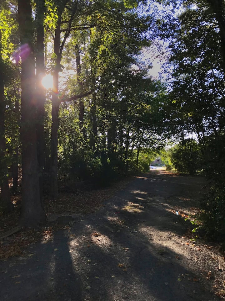 11 Best Airbnb Vacation Rentals In Carrboro, NC Updated 2024 Trip101