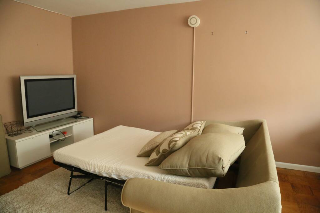 pullout sofa bed
