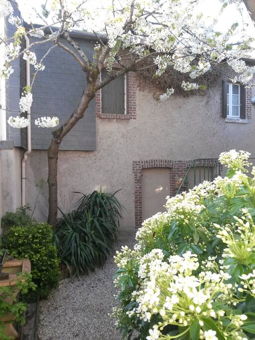 Jardinet derrière la maison
