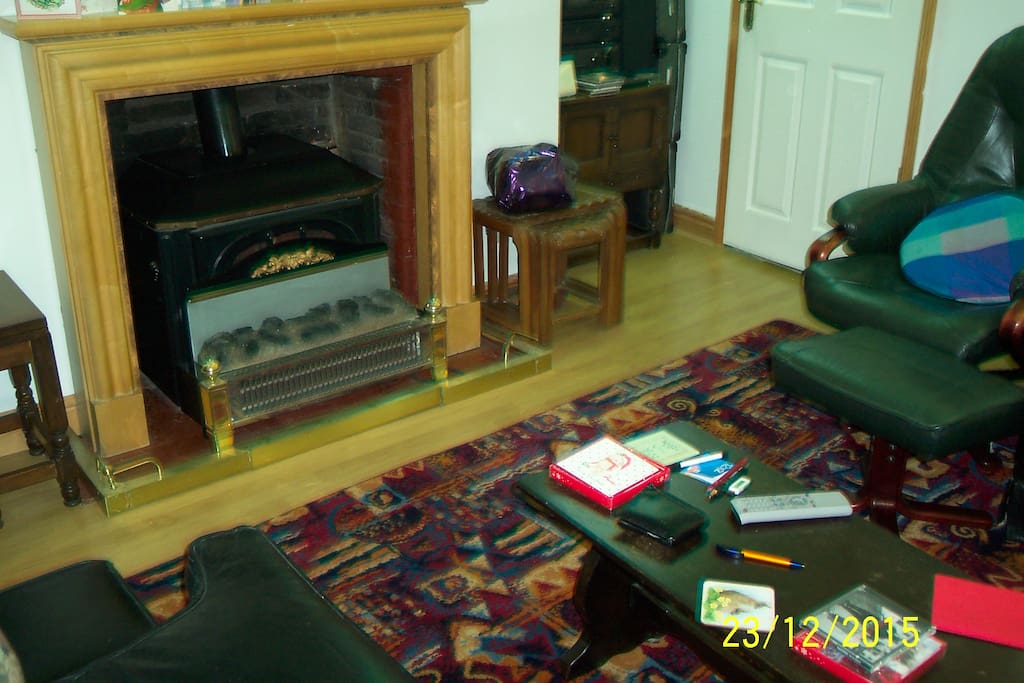 Woodburning Stove with electric fire in front for summer use