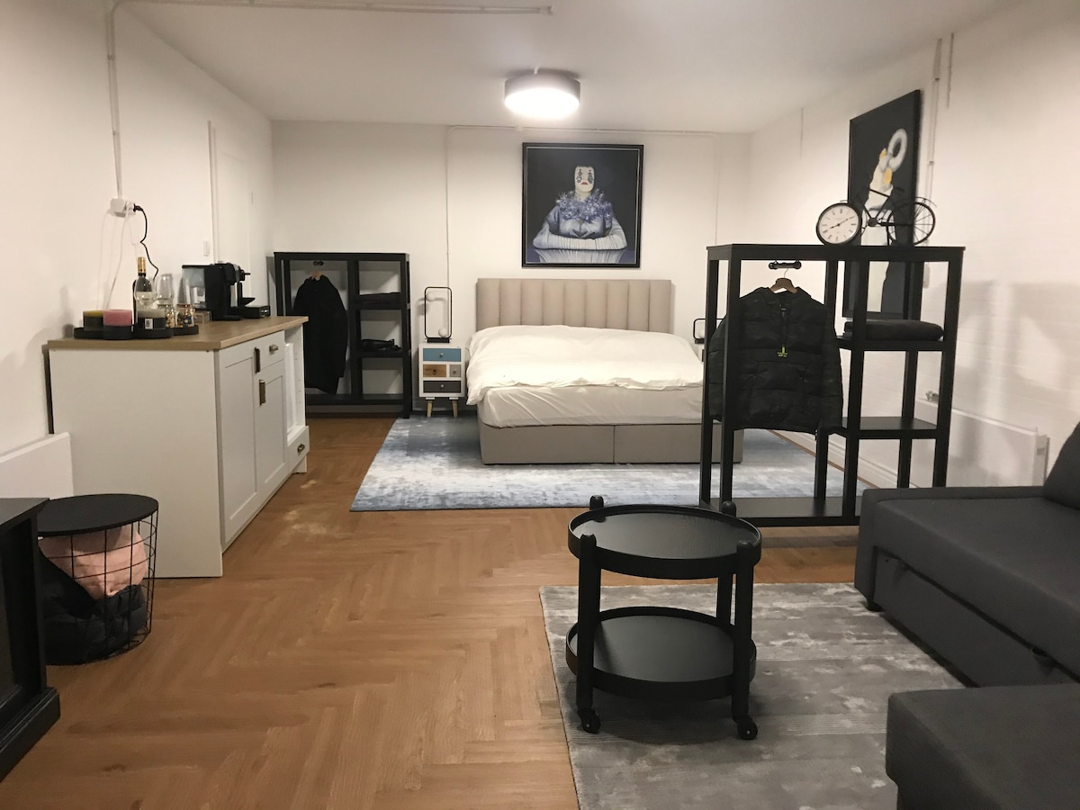 A modern studio room is presented with light wood flooring and neutral-colored walls. A spacious bed is centered against the wall, flanked by a kitchenette equipped with essentials. A seating area features a gray sofa, while stylistic elements add a contemporary touch.