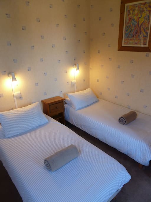 Room 6 - 2 single beds with shower and basin
