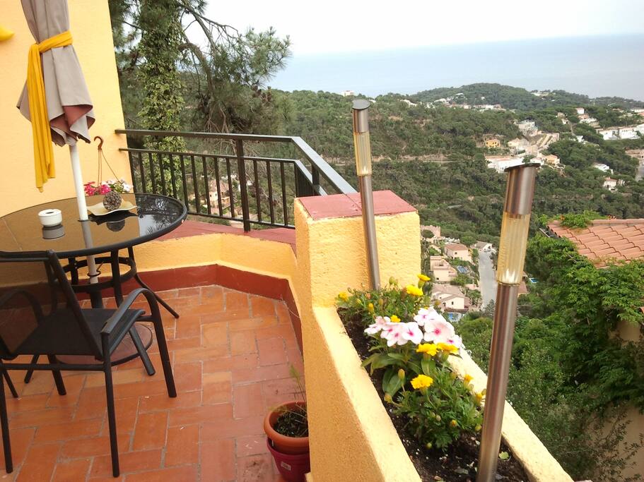 Terraza