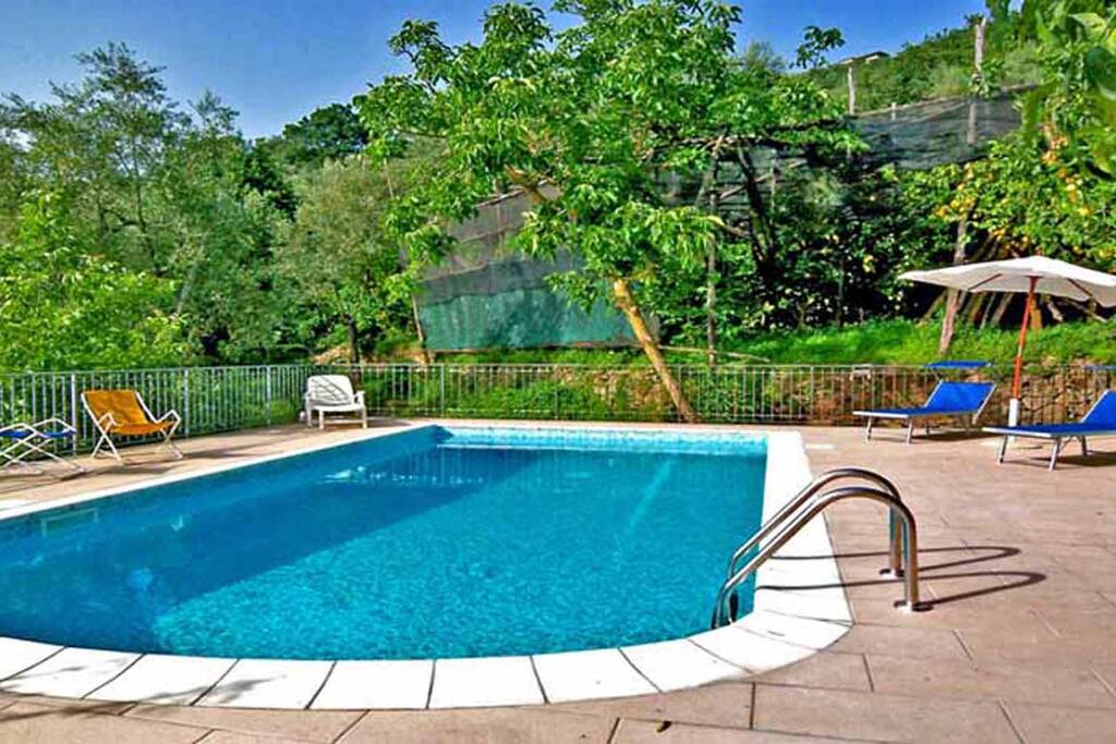 02 Il Sorriso shared pool area