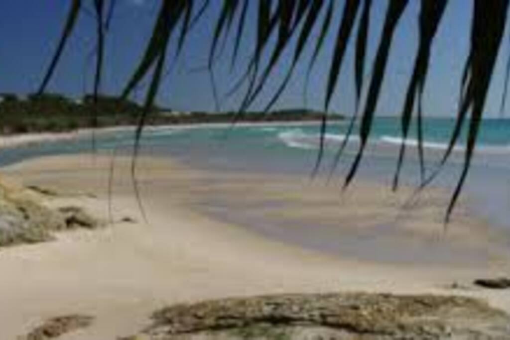Beautiful Straddie!!