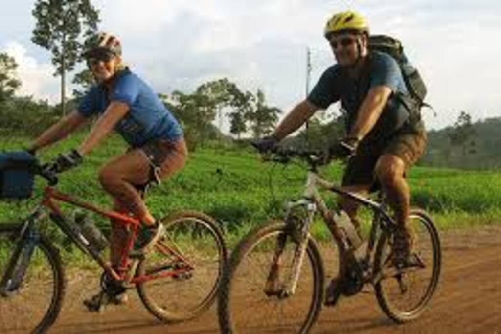 Free bikes for hire