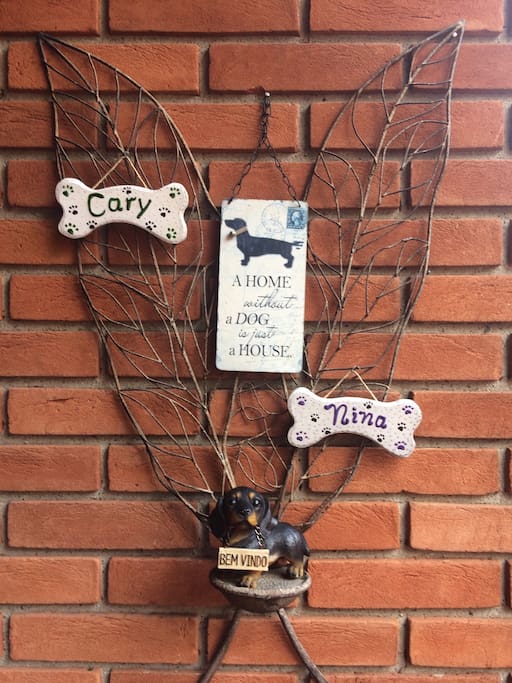 Dois cachorros cuidam de casa !!