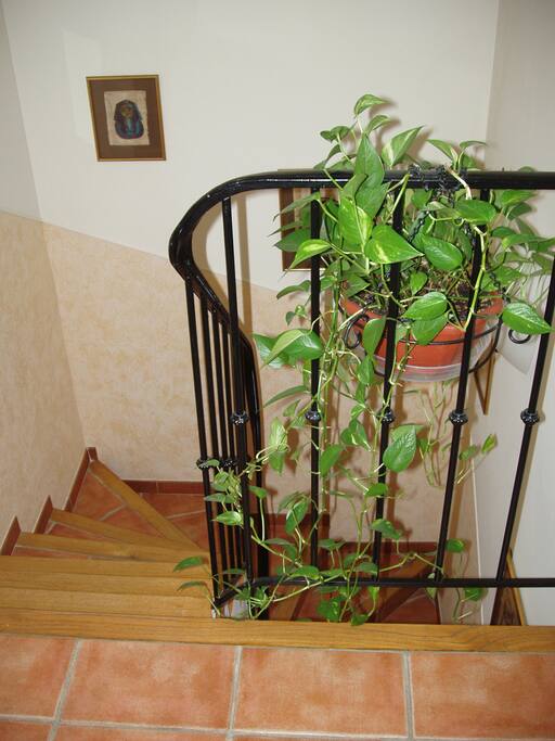 Escaliers