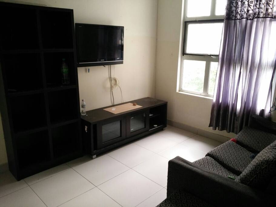 TV and Sofa