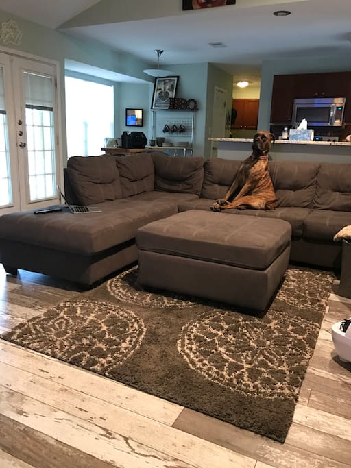 Living Room (mastiff not included in rental)