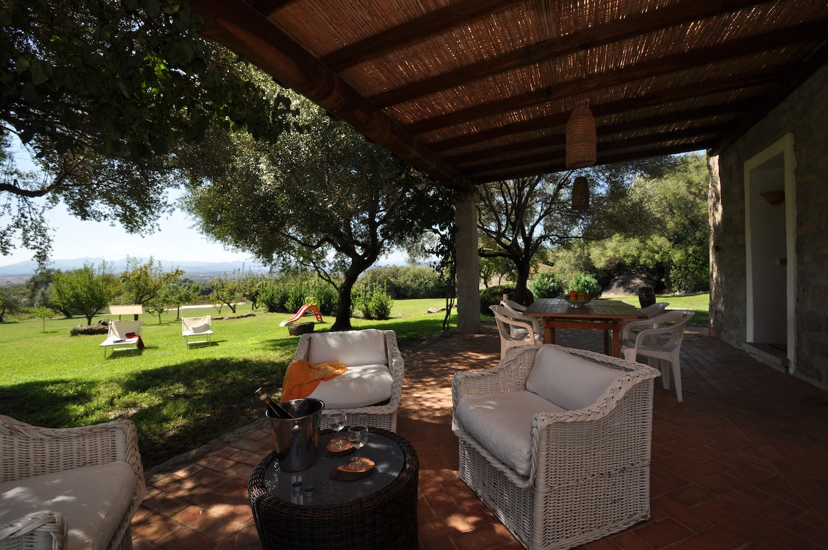 A covered terrace is presented with comfortable white seating and a round dining table. The area offers views of a lush garden featuring olive trees and fruit plants, creating a serene outdoor space for relaxation and dining.