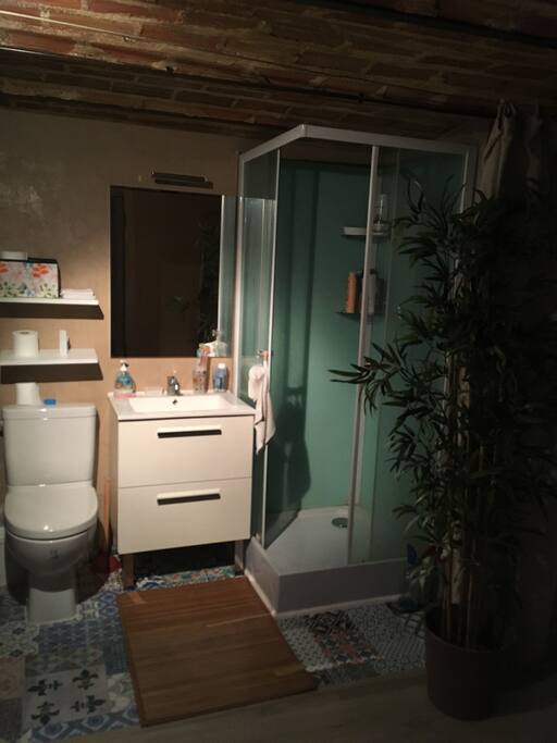 salle d'eau : douche, lavabo et WC privés (où se trouve également le lave linge)