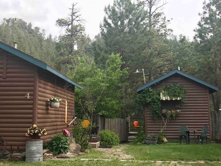 10 Best Airbnb Vacation Rentals In Keystone, South Dakota Updated