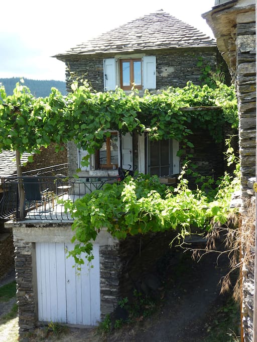 Maison