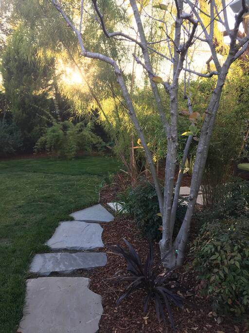 Enter the garden
