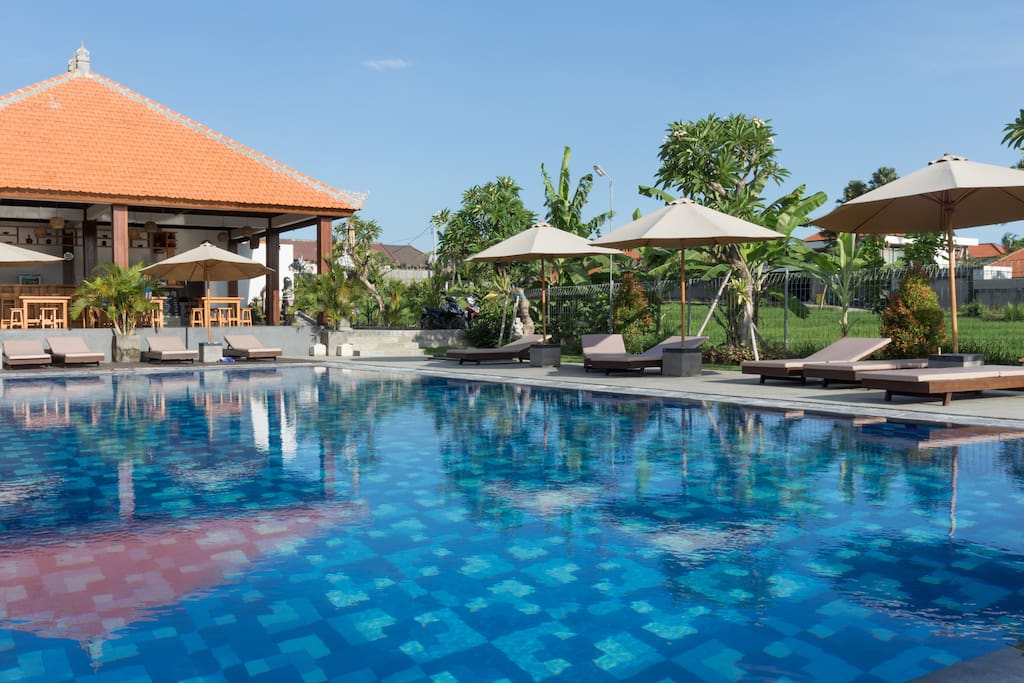 Refreshing deep blue pool overlooking rice field, perfect spot for you to chill out by the day and socialize with other good travelers from all around the globe!