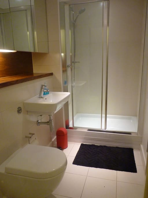 The pristine bathroom facility has a shower with mirrored wall cupboards and a heated towel rack.