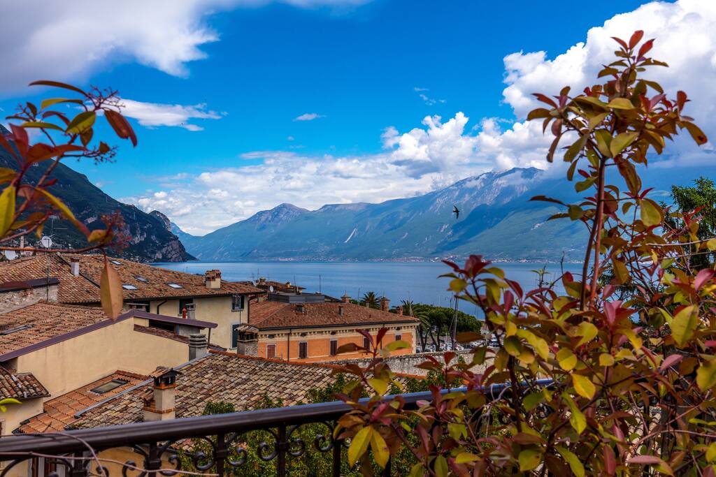 view from the terrace