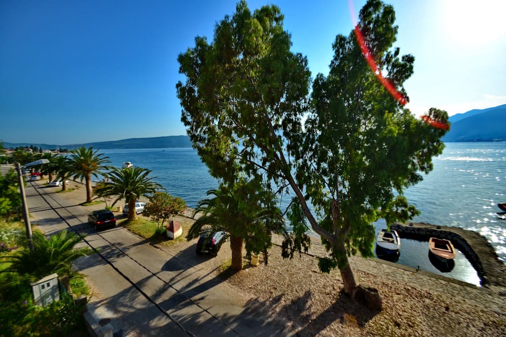 VIEW FROM TERRACE