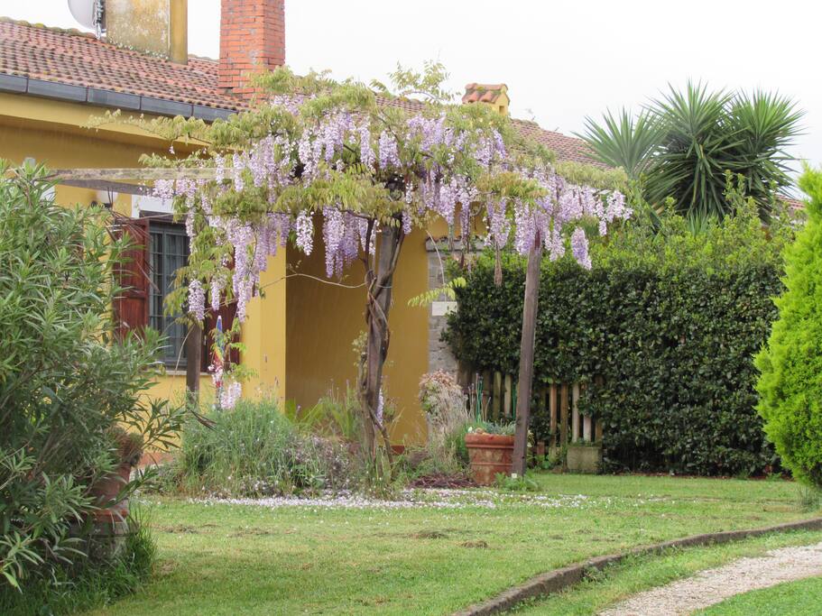 L'ingresso del portico