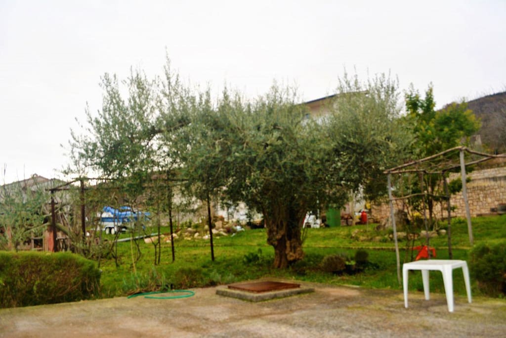 courtyard