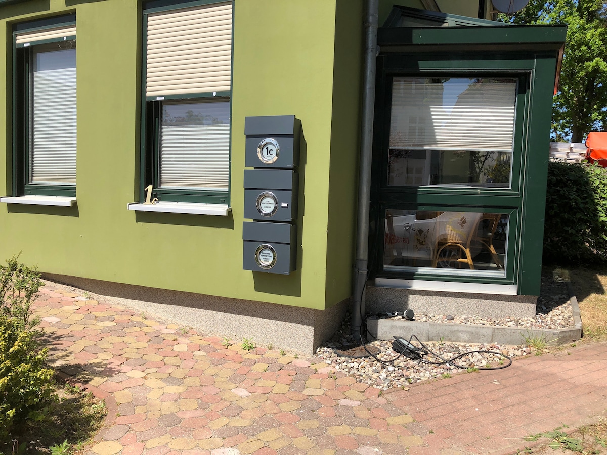 The exterior of a green house features a corner entrance with three intercom boxes mounted on the wall. Nearby, a large window displays furniture, providing a view of the interior space. The pathway is paved with cobblestones, bordered by shrubs.