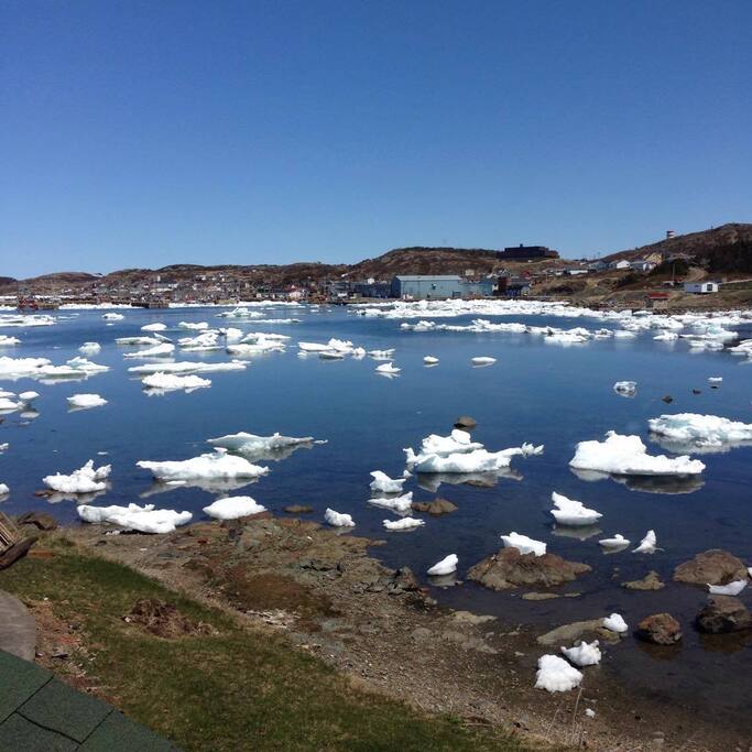 View from bedroom window