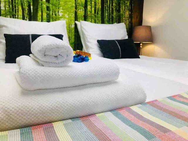 NEW LUXURY guesthouse near Giethoorn 附近的新豪華賓館