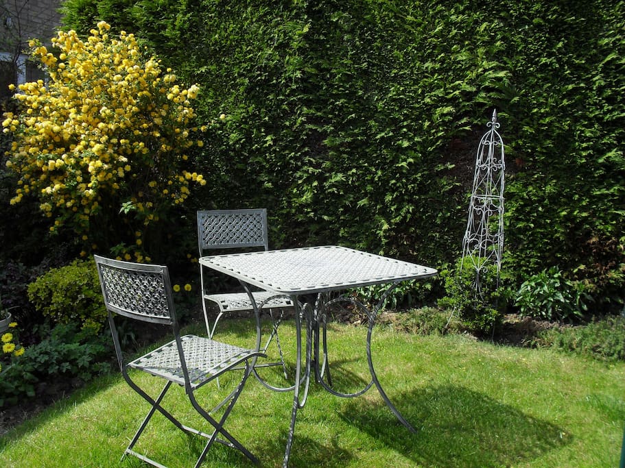 Back garden