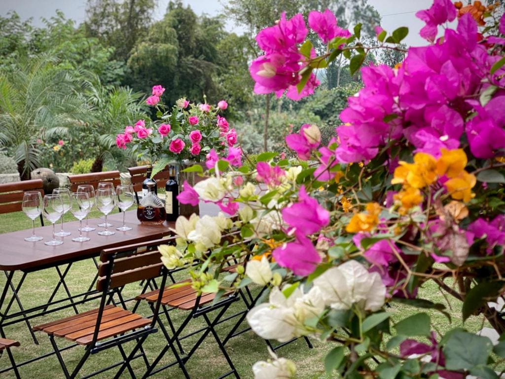 A dining table is set outdoors, surrounded by vibrant flowers in shades of pink, white, and yellow. Glassware and a bottle are positioned on the table, while wooden folding chairs complement the natural setting filled with greenery.
