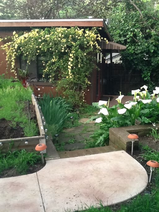 Pathway to cottage.
