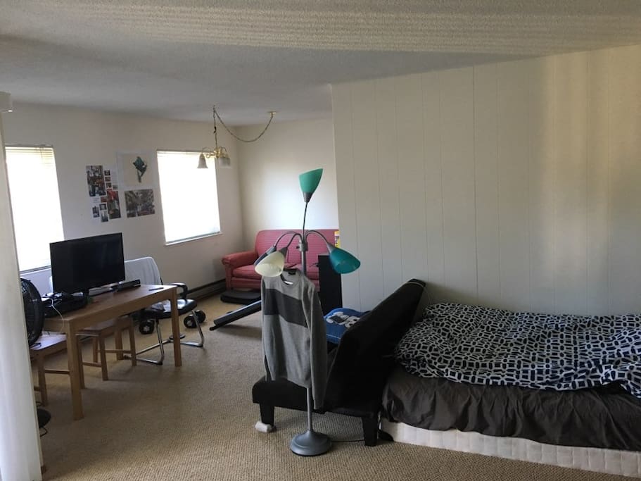 Living room with bed