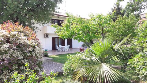 Apartment Pinta in Poreč