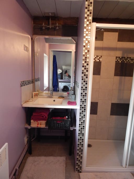 salle de bain douche WC