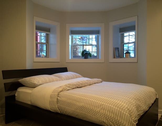 Modern, Cozy Apartment in the Historic Heart of DC