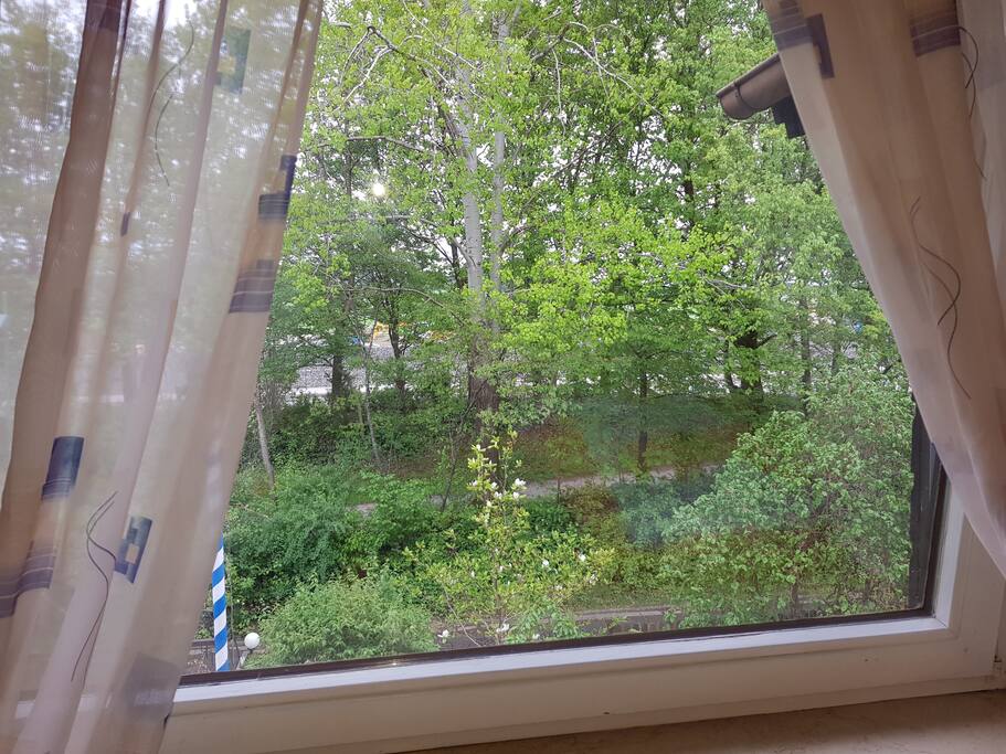 View from window