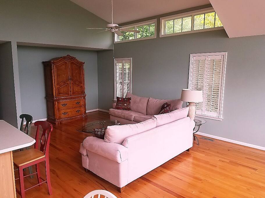 Family room with 2 queen size pull out couches