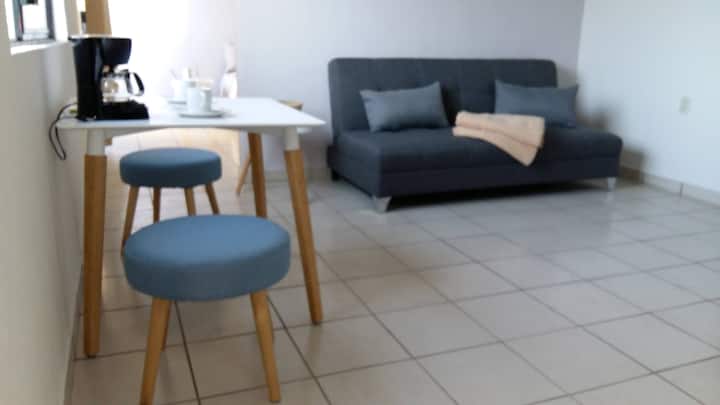 Მისაღები ოთახი გასაშლელი დივნით  