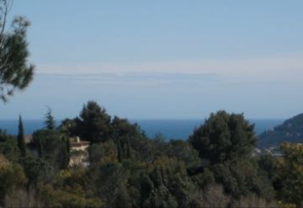Vue verdure et bel aperçu mer
