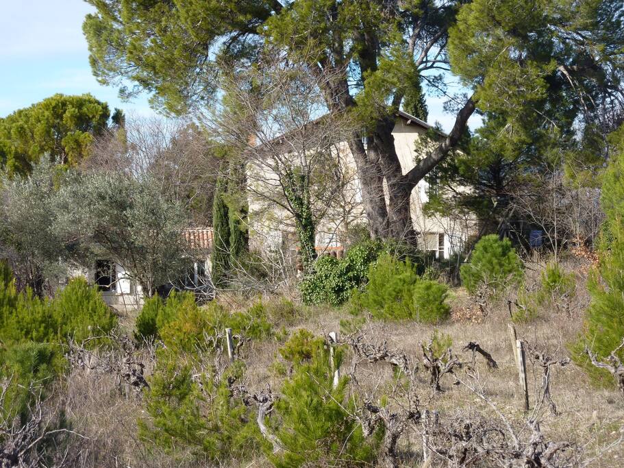 autour de la maison