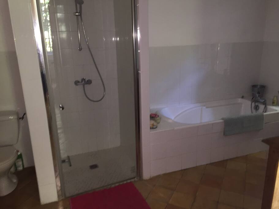 la salle de bain equipé avec douche , baignoire , WC, serviettes , sèche cheveux ...