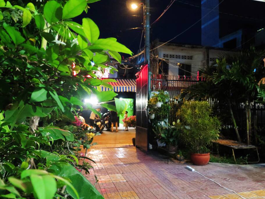 Green garden at night