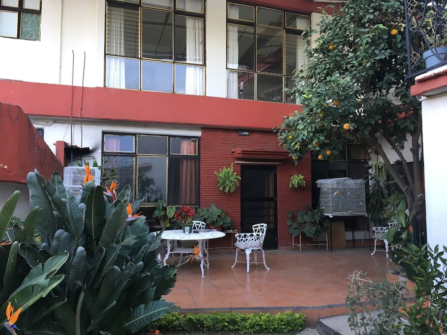 Shared patio to relax, eat, or study.