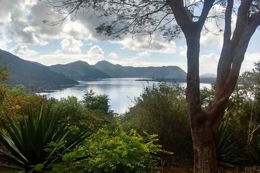 Vista da frente. Jardim da casa.
