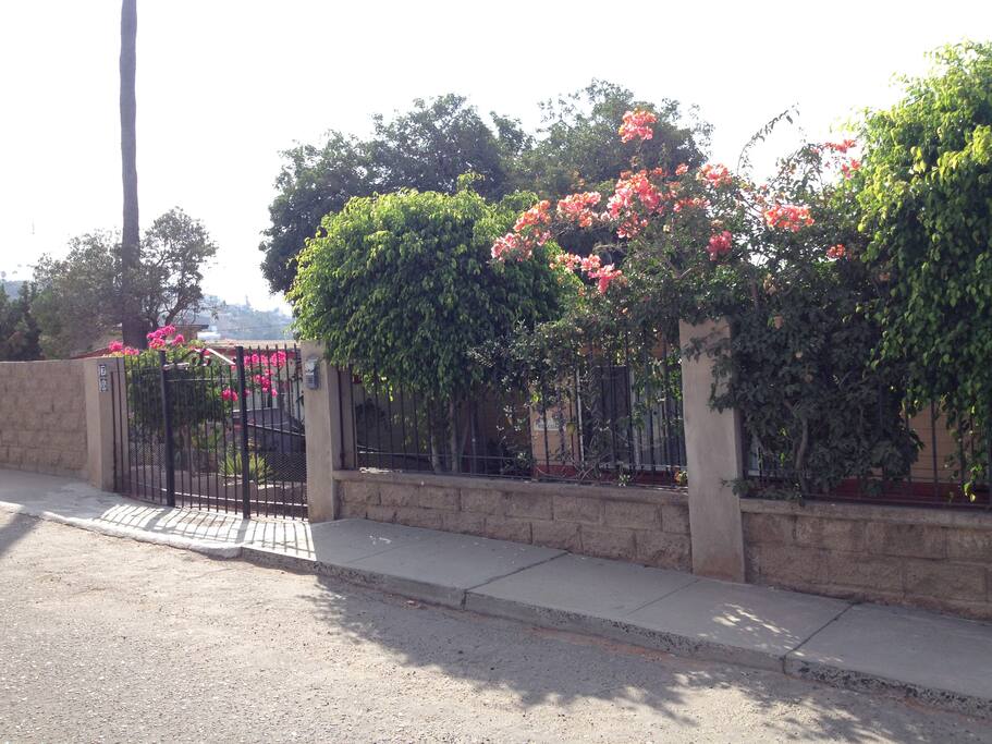 Street Entrance