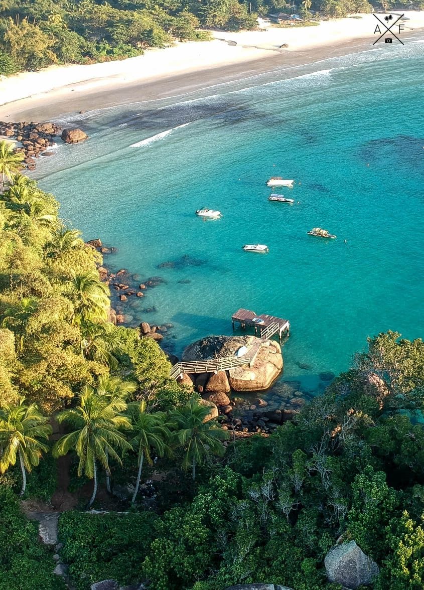 An aerial view reveals a serene beach bordered by lush greenery and palm trees. Gentle waves lap against the sandy shore, while several boats are anchored in the clear turquoise waters. A wooden platform extends into the ocean, surrounded by rocky formations.
