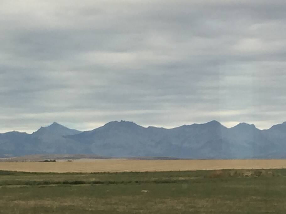 View from Sunroom facing west