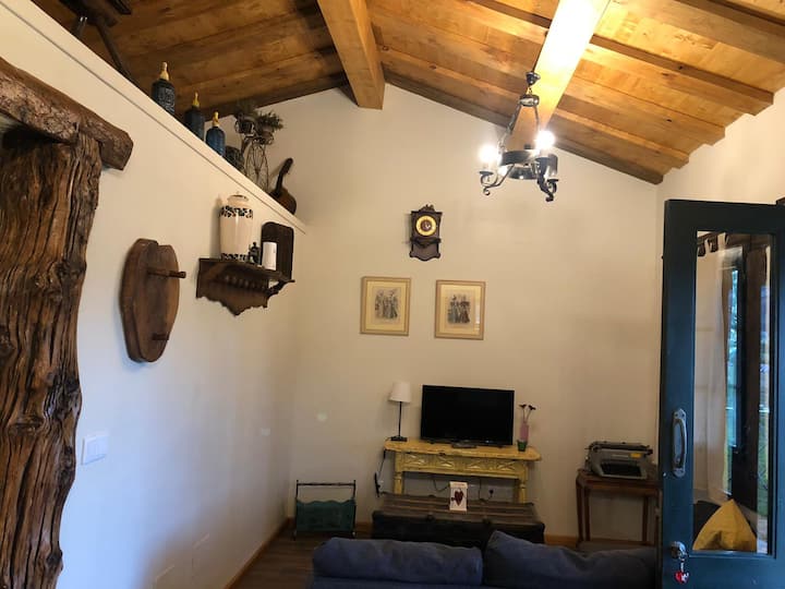 Casina Del Reborion En Villaviciosa (Vv-3828-as) - Villaviciosa