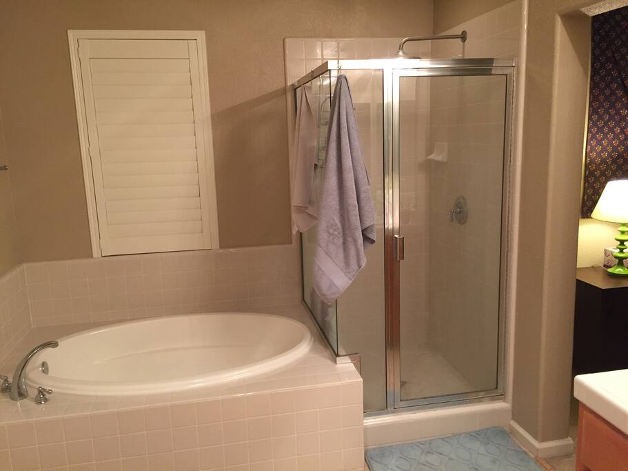 Luxurious shower and bathtub