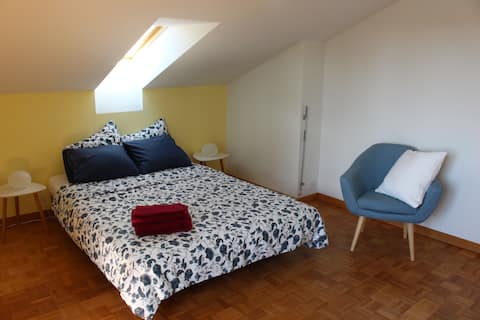 Centrally located, bright and cozy apartment